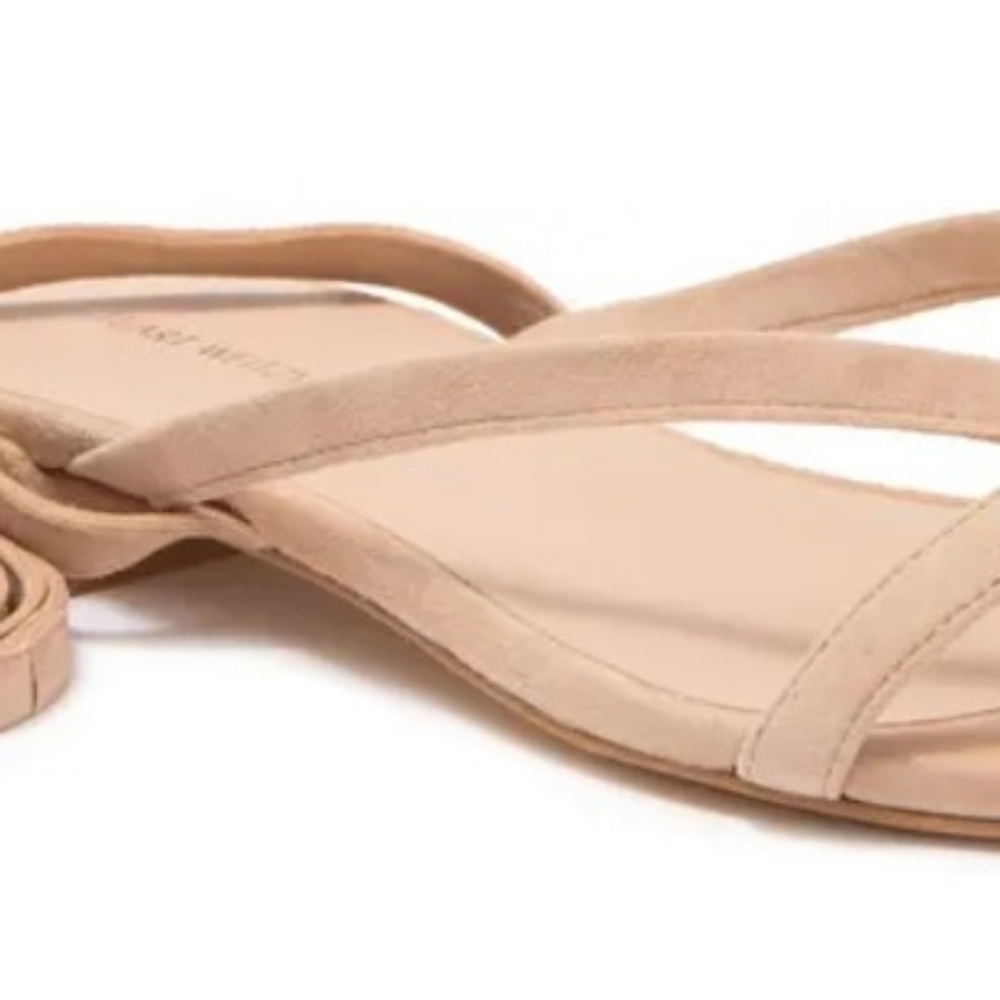 Beautiful Stewart Weitzman flats